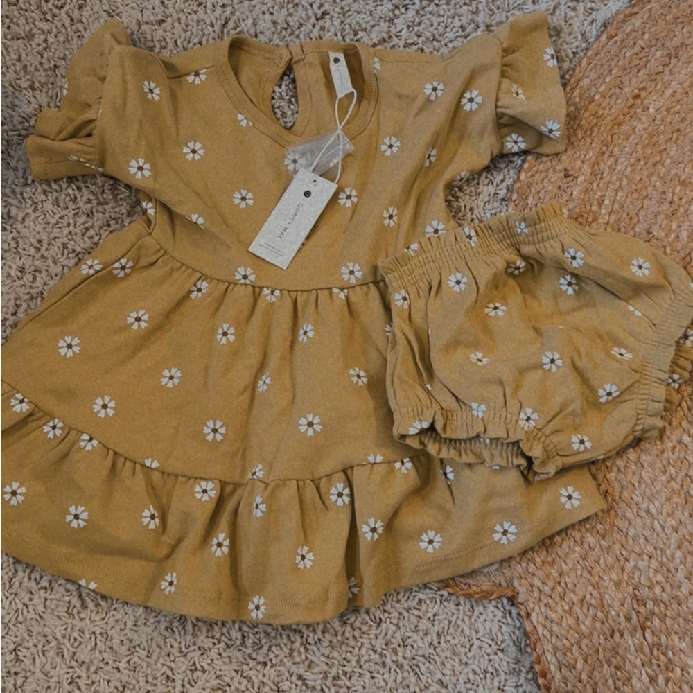 Adorable Floral Baby Dress and Bloomers Set